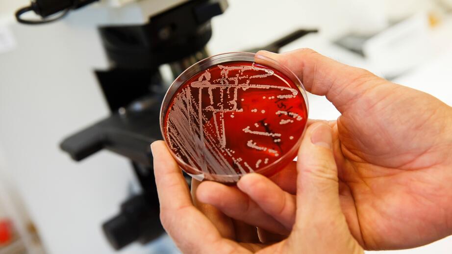 Antibiotikaresistenta bakterier 
