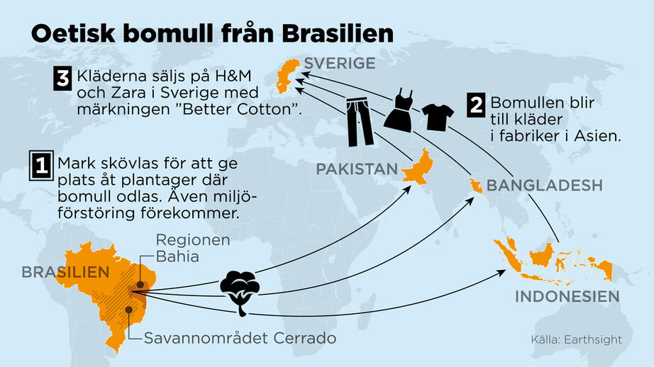 Kartan visar hur den skadliga bomullen transporteras runt världen. 