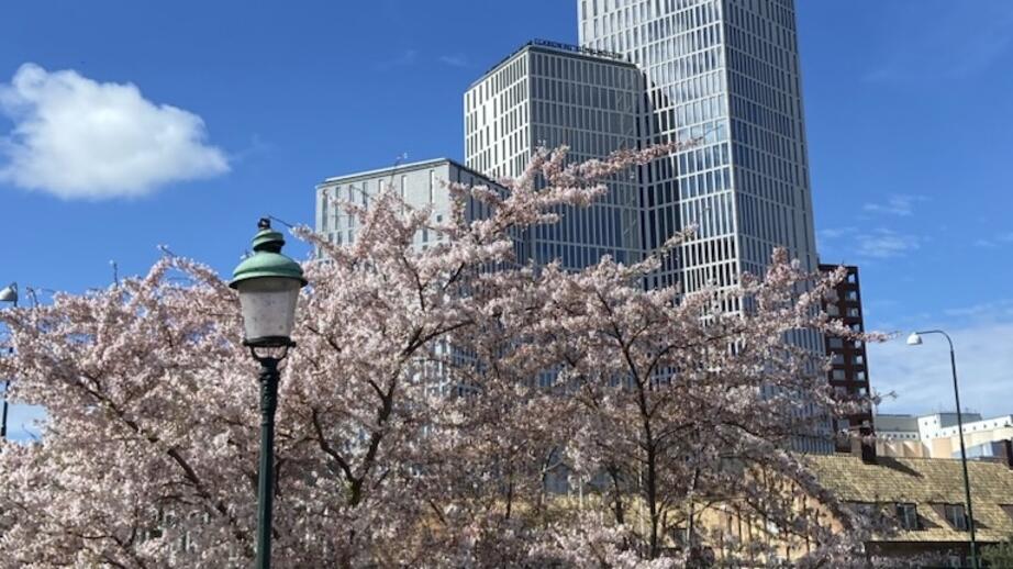 Häromdagen var det i alla fall varmt och soligt i Malmö. Bild från den 8 april.