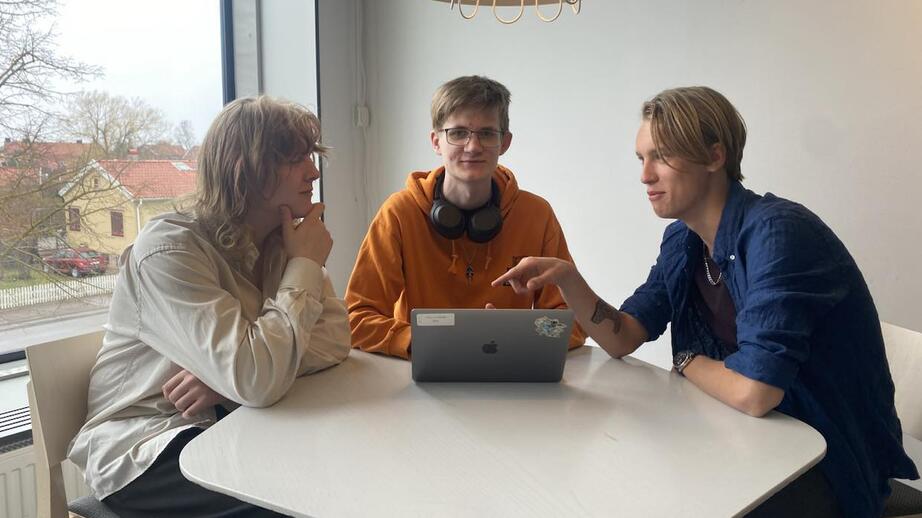 Allan Snoder, Rasmus Adman och Elof Romehed går alla tredje året på Wisbygymnasiet. De läser Teknikprogrammet.
