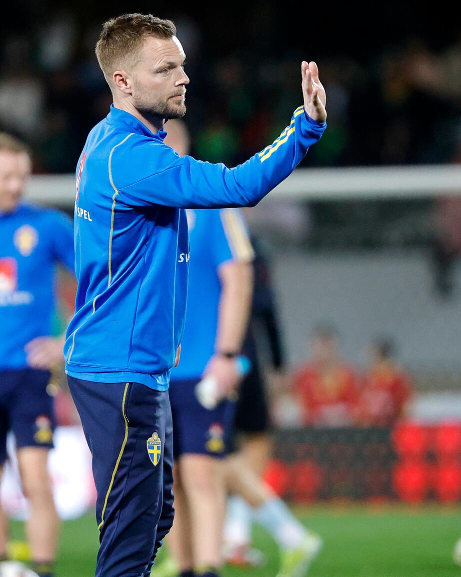 Sebastian Larsson syntes skadad under finalen. Arkivbild. 