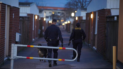 Polishundar söker spår i Norrköping. Foto: NIKLAS LUKS/TT