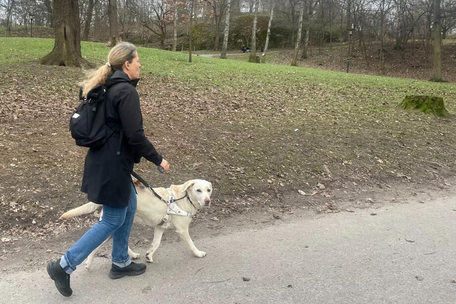 Åsa Engman och ledarhunden Speja på väg hem från en arbetsdag.