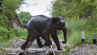 INDISK ELEFANT. Foto: AP Photo/Anupam Nath, File