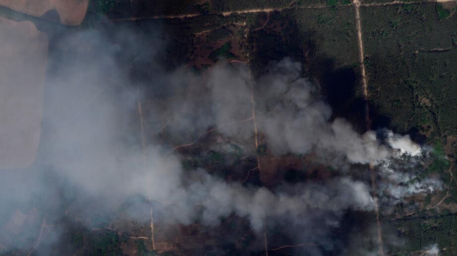 BBC har bland annat analyserat satellitbilder för att komma fram till dödstalen.