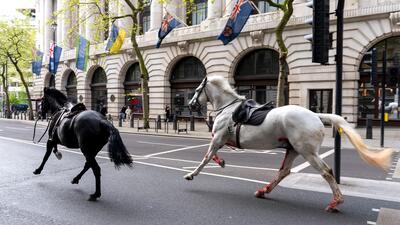 Britain Horses. Foto: Jordan Pettitt/PA via AP