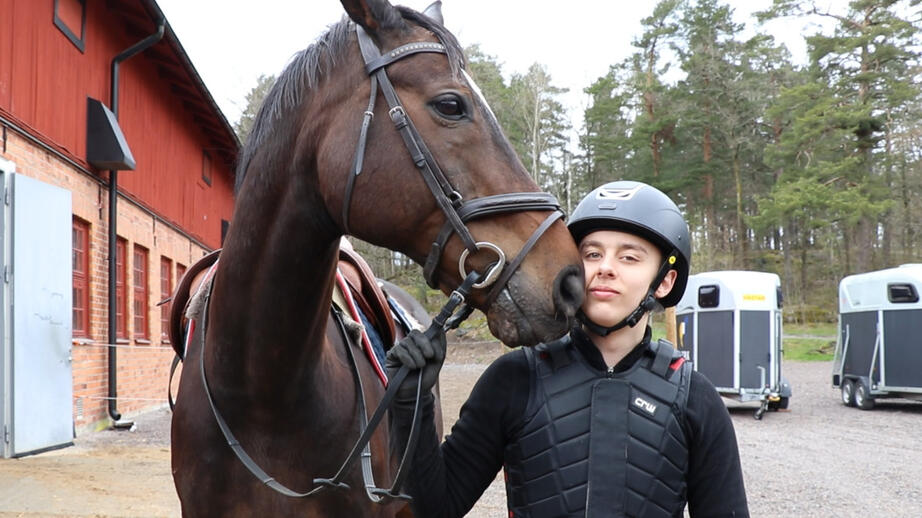 Hästen Roy har blivit en favorit för att han är så mysig.