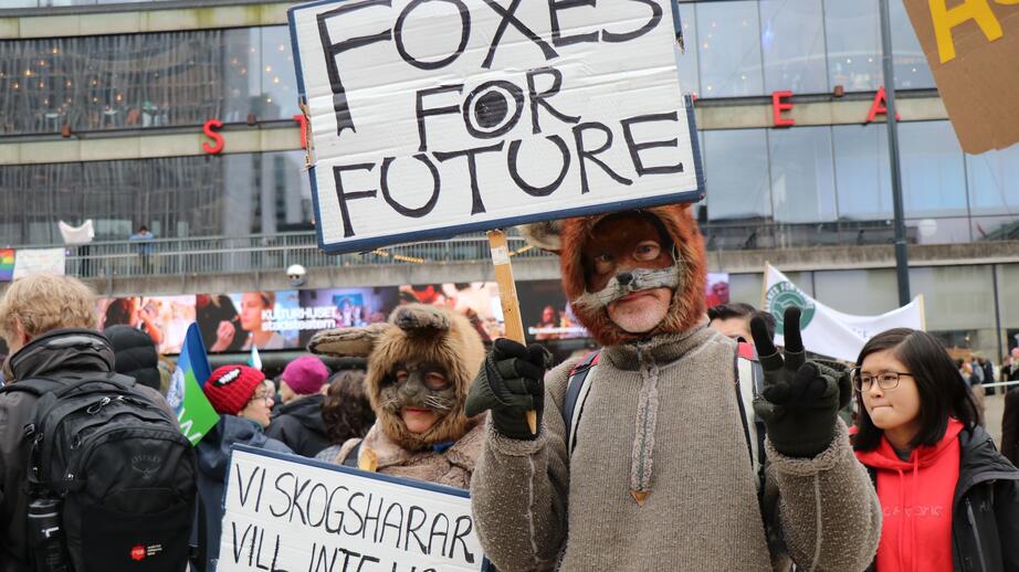 Rävarna demonstrerar, rävarna har fått nog. Även skogsharar slår ett slag för klimatet. ”Vi skogsharar vill inte ha snöfria vintrar” står det på plakatet.