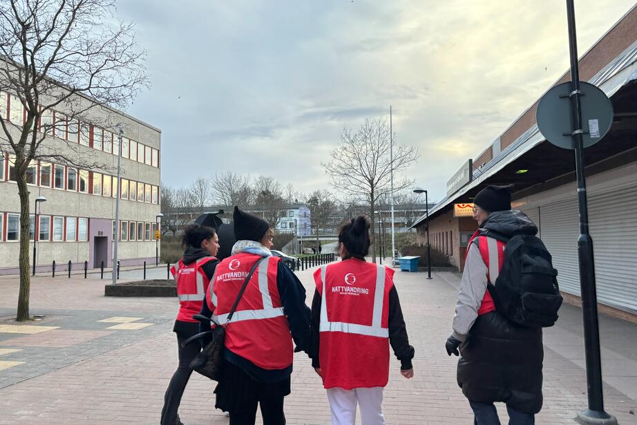 Blåuggla går även trivselvandringar i Skärholmen några kvällar i veckan.
