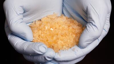Germany Drug Bust. Foto: AP Photo/Michael Probst