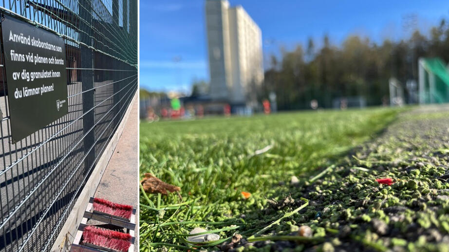 Varje år sprids ungefär 16 000 ton mikroplaster från gräsplanerna i EU, enligt EU:s kemikalieinspektion.