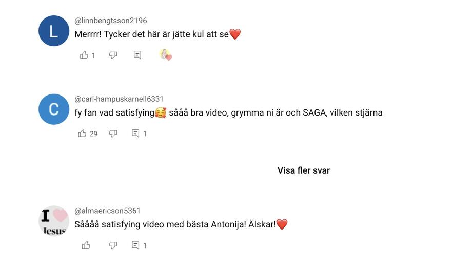 Skärmdump från en influerares kommentarsfält på en organiseringsvideo. 