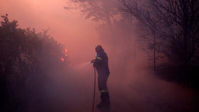 Greece Wildfire. Foto: AP Photo/Aggelos Barai