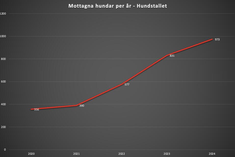 Antalet mottagna hundar per år 2020-2024 av Hundstallet.