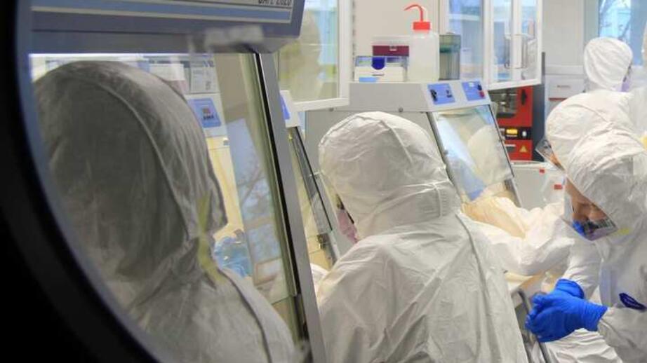 Tom van der Valk och hans kollegor har ett labb på Stockholms universitet. Här granskar forskare dna som är flera tusen år gammalt.