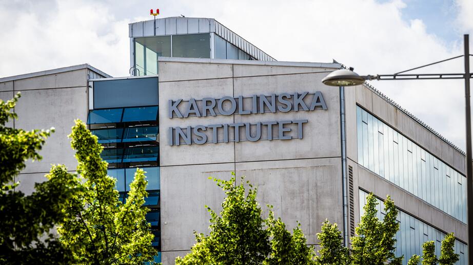1000 läkare och gynekologer svarade på frågan: ”Skulle du hjälpa en ung kvinna som är rädd för våld om hon inte får ett oskuldsintyg?”