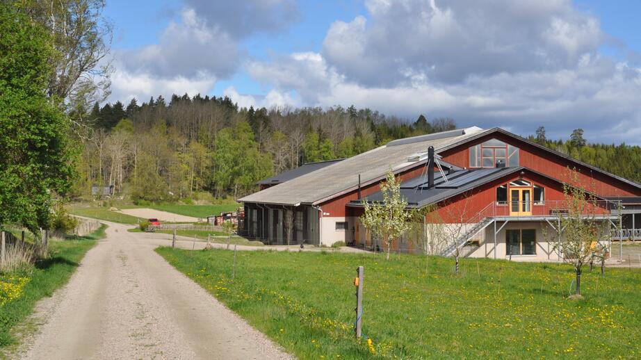 Ullberga mjölkgården har eget mejeri i anslutning till ladugården. 
