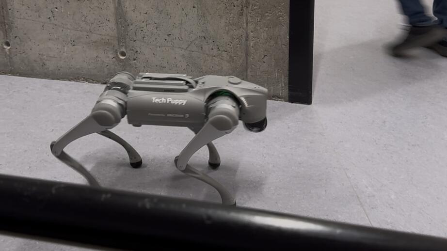 Robothund på Tekniska museet i Tensta. Foto: Matilda Hestréus