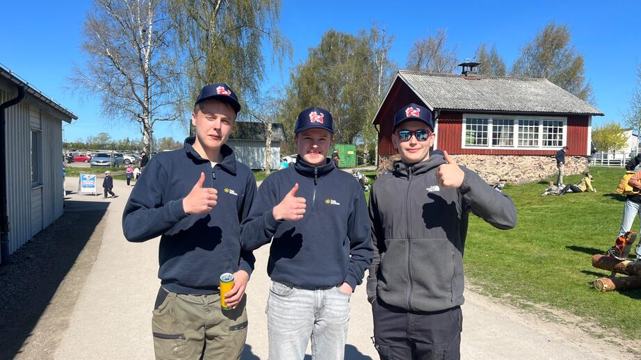 Jakob 16 (höger), Olle 16 (mitten), Albin 17 (vänster), pluggar alla skogsprogrammet. 