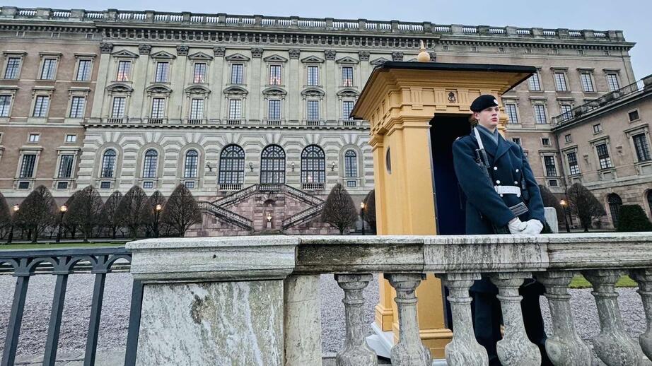 Gösta som står högvakt utanför slottet. 