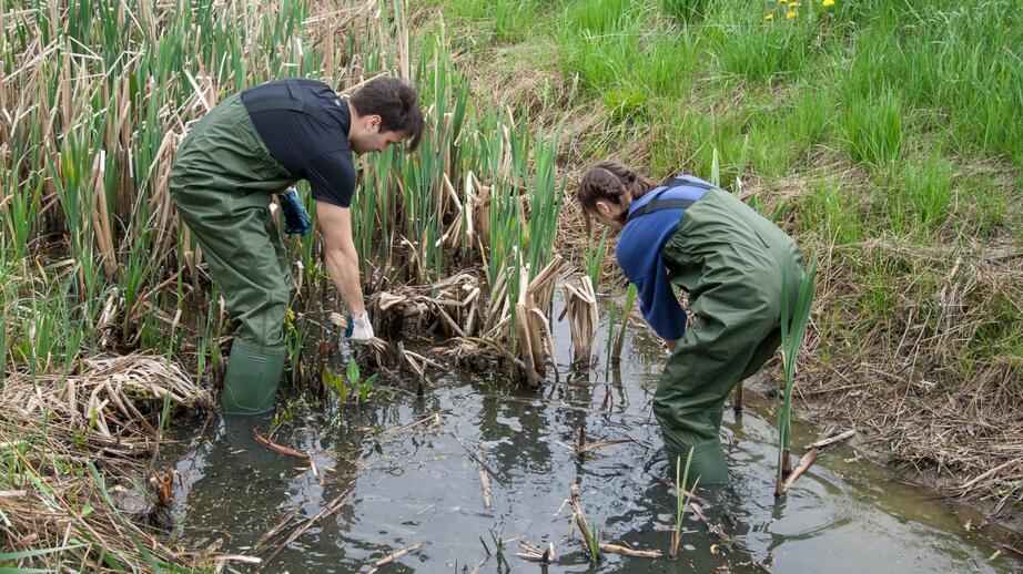 Fältbiologerna är Sveriges största naturorganisation för unga.