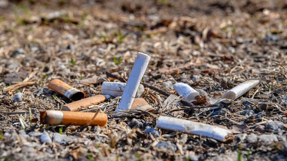 Cigarettfimpar är ett av de vanligaste skräp som återfinns i naturen. 