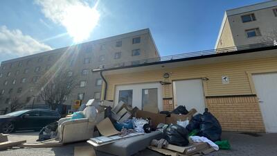 IMG_1682. Foto: Jackie Lindman