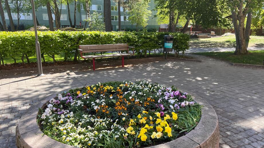 Färgsprakande blommor i Järva.
