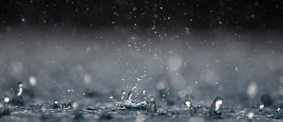 REGN. Foto: AP Photo/Mark Baker