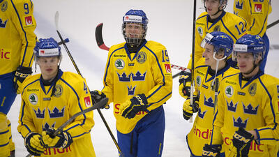 Idrott. Foto: Henrik Montgomery/TT