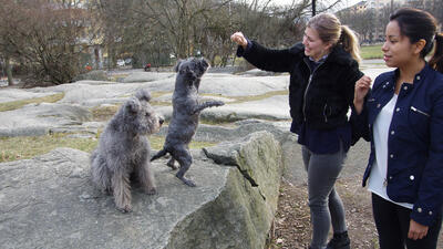 Millan, Billie, Fanny och Liza. Foto: Maria Kotaleski